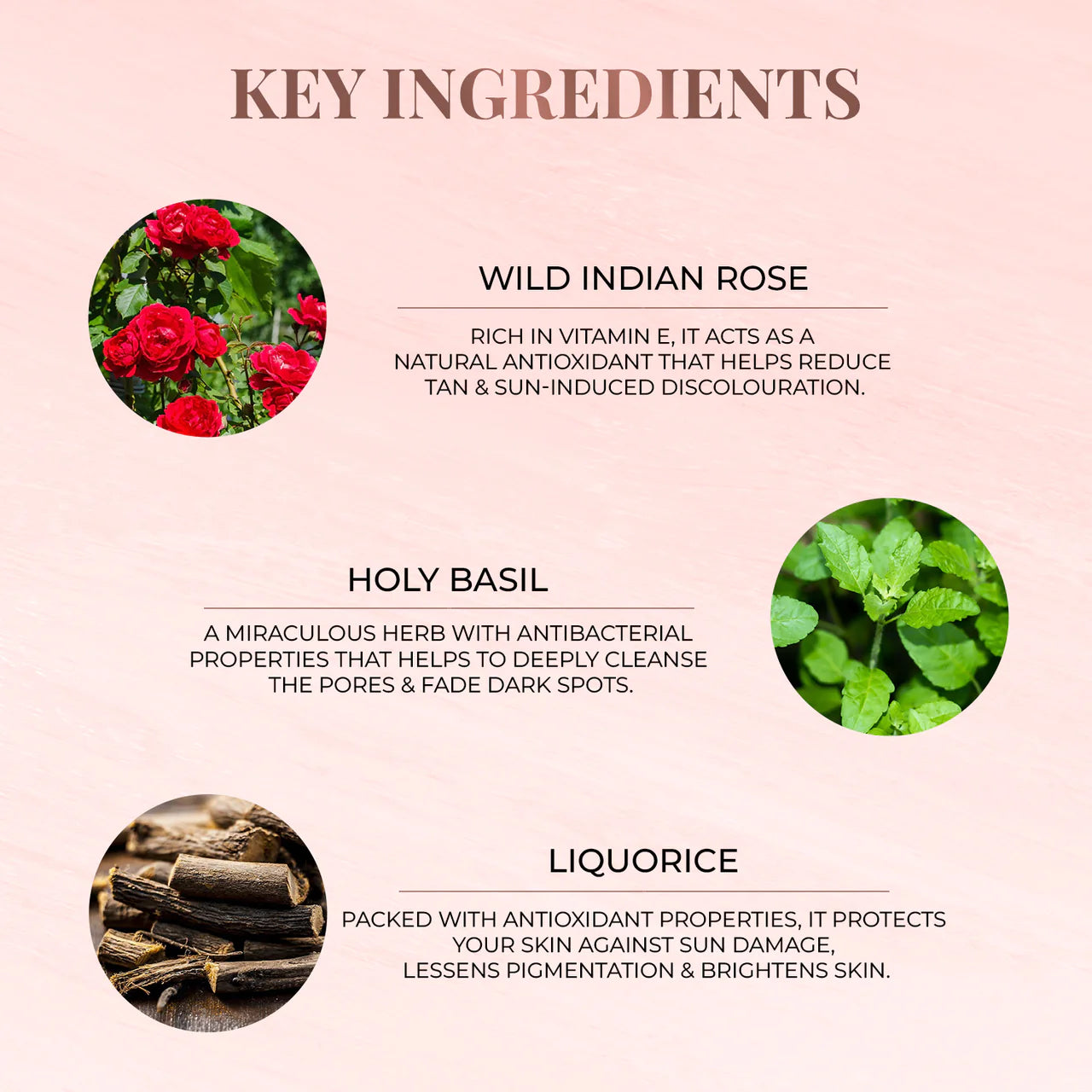 Just Herbs Anti-Tan Face Pack - Wild Indian Rose