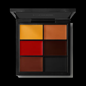 MAC STUDIO FIX CONCEAL AND CORRECT PALETTE