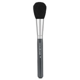 COLORBAR PRO POWDER BRUSH